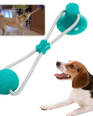 Inicio 17174537801085c11f 0bab 4a60 9d59 ecad179ea82f