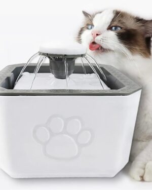 Inicio fuente de agua bebedero mascota