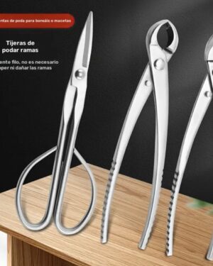 Inicio juego de herramientas para bonsai 4 piezas de calidad